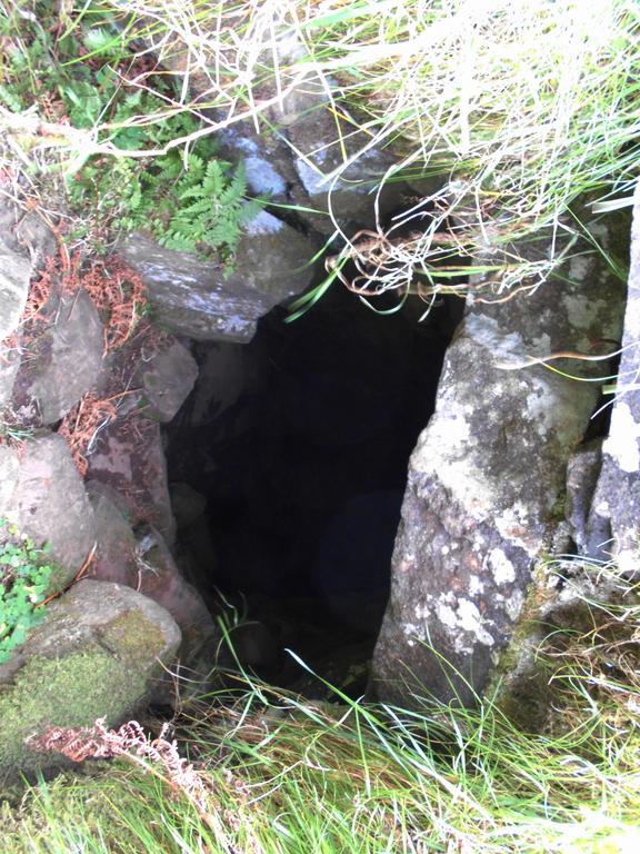 The Barn At Ballycairn Larne Eksteriør billede